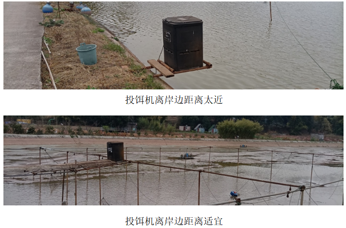 投餌機距離.png